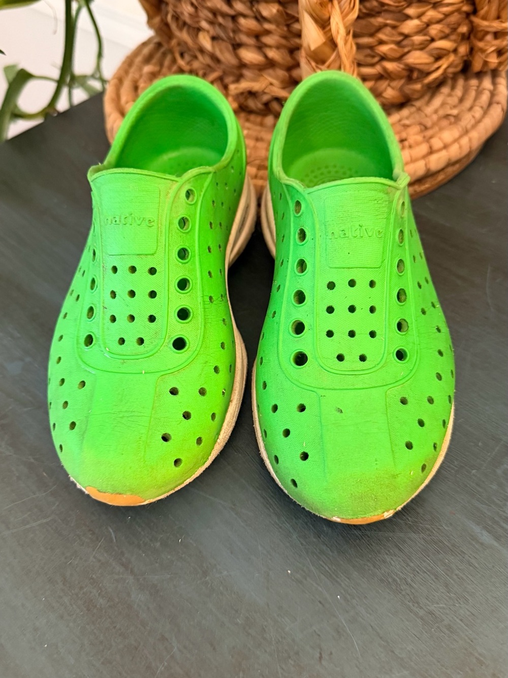 Native Green Sugarlite style C11